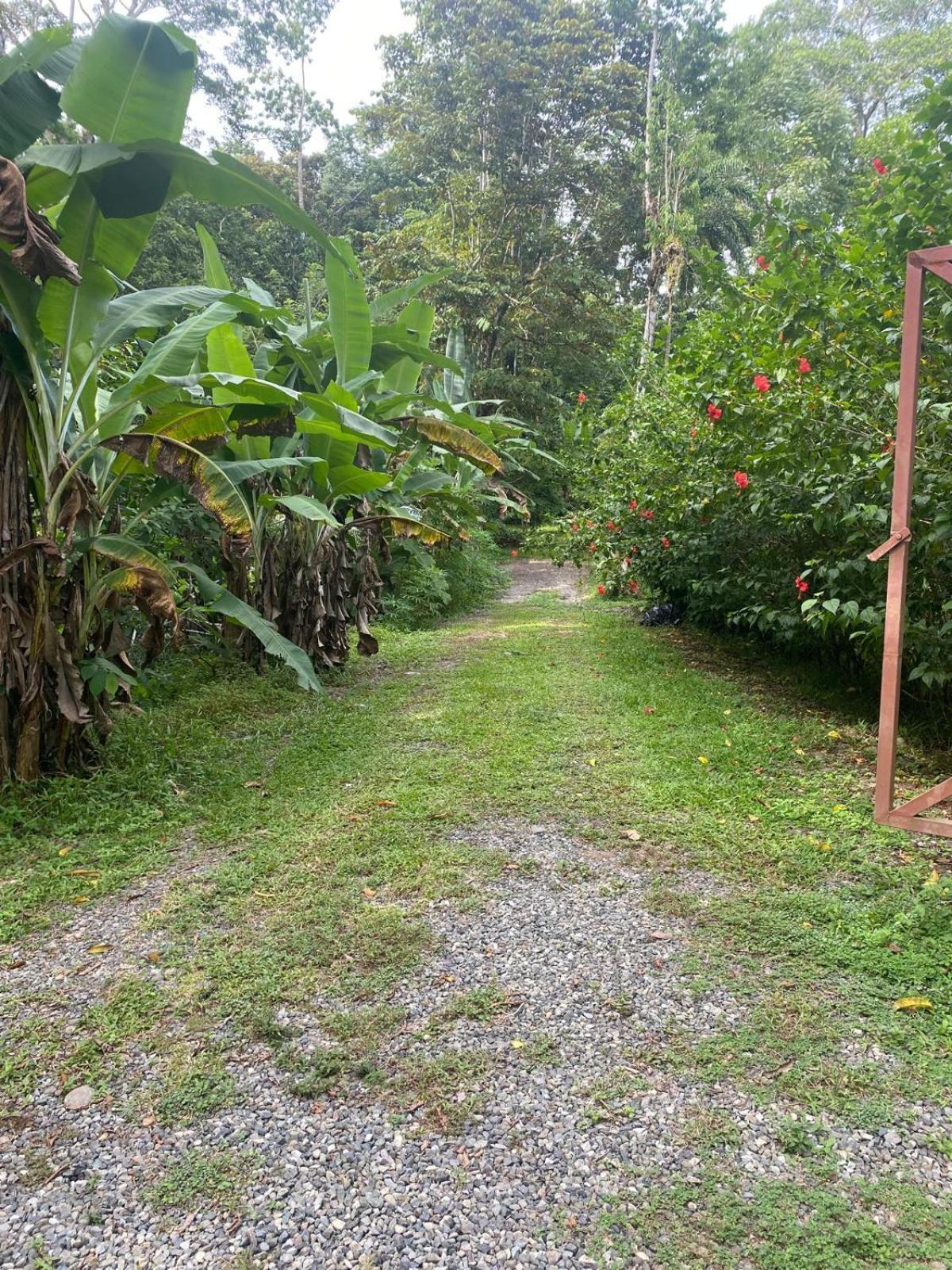 Caribbean Retreats Villa Cocles Kültér fotó