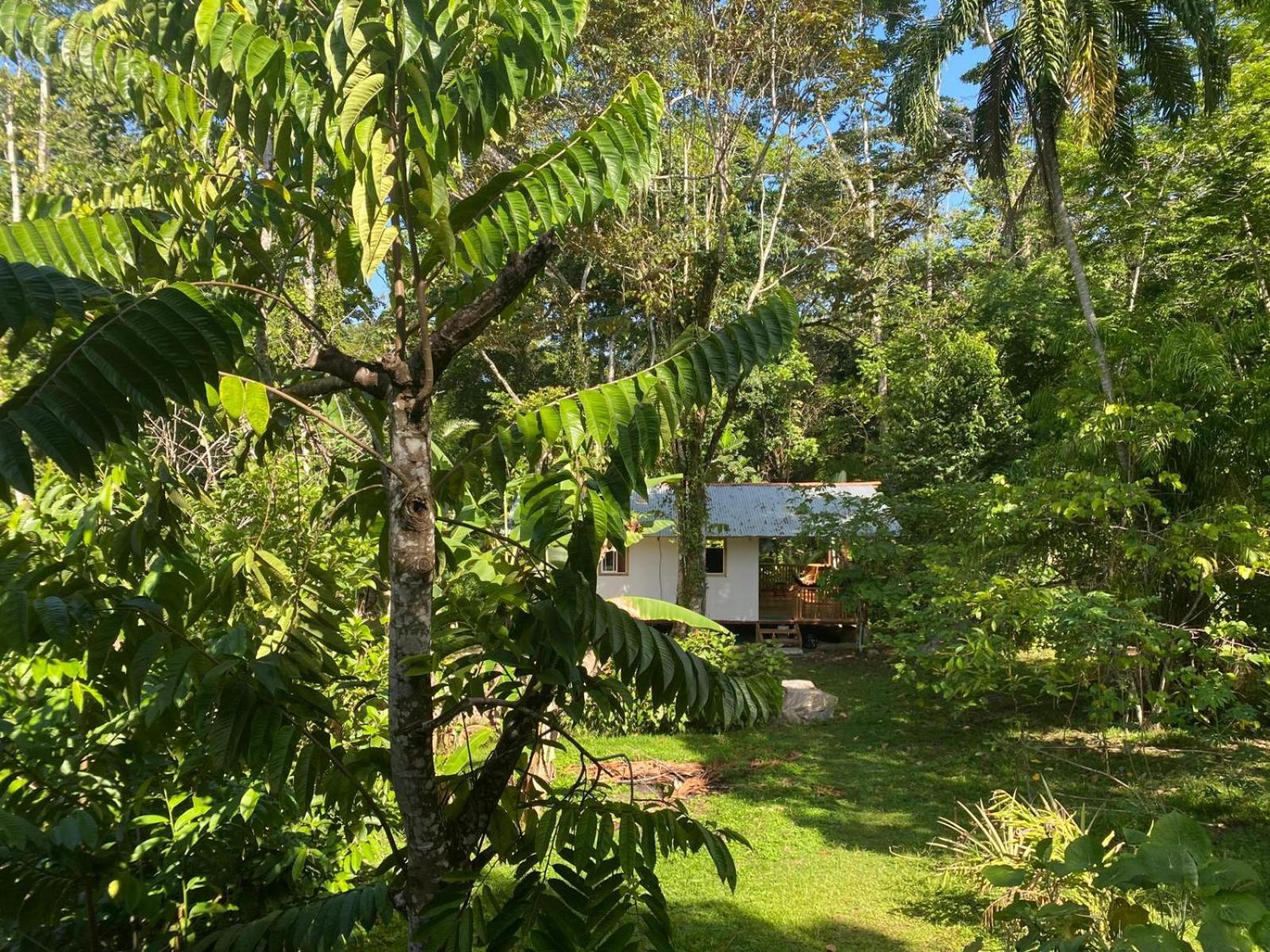 Caribbean Retreats Villa Cocles Kültér fotó