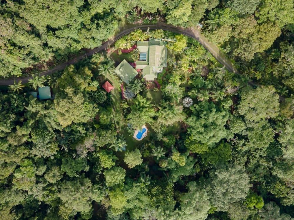 Caribbean Retreats Villa Cocles Kültér fotó