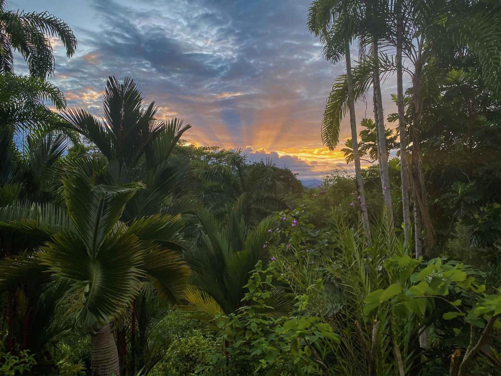 Caribbean Retreats Villa Cocles Kültér fotó